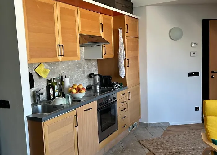 Appartement Chic Vienne
